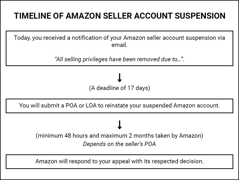 Timeline of Amazon Seller Account Suspension